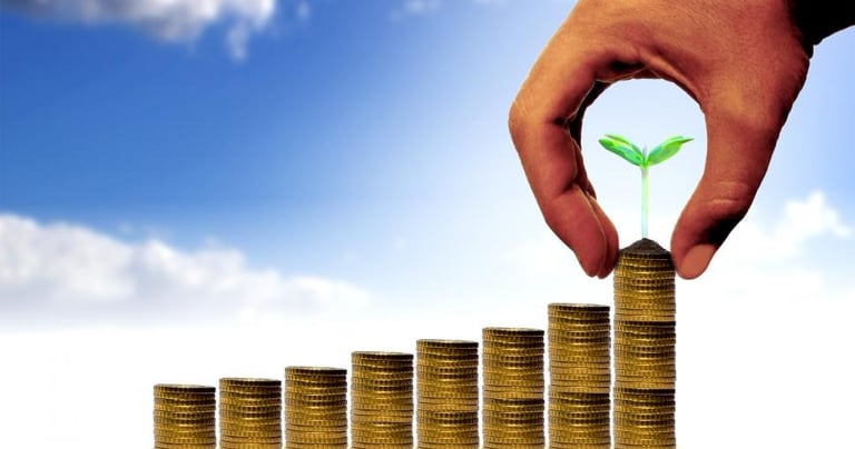 SEO Sustainability