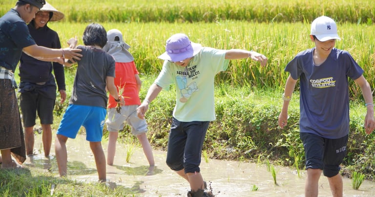 Bali rice planting