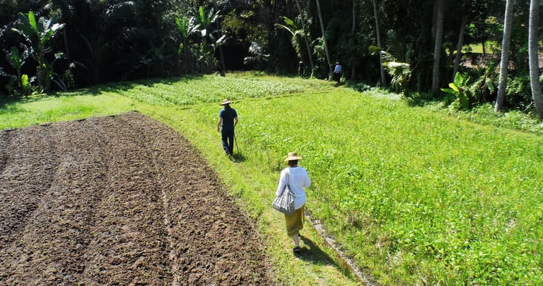 Bali agriculture research support