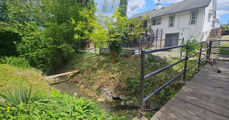 a stream with plants  cut back exposing the stream. There is a white house in the background
