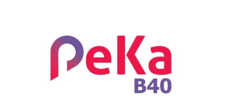 Official PeKa B40 healthcare scheme logo with purple and pink gradient text on a white background.