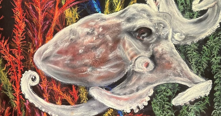 a drawing of a squid in a seaweed garden