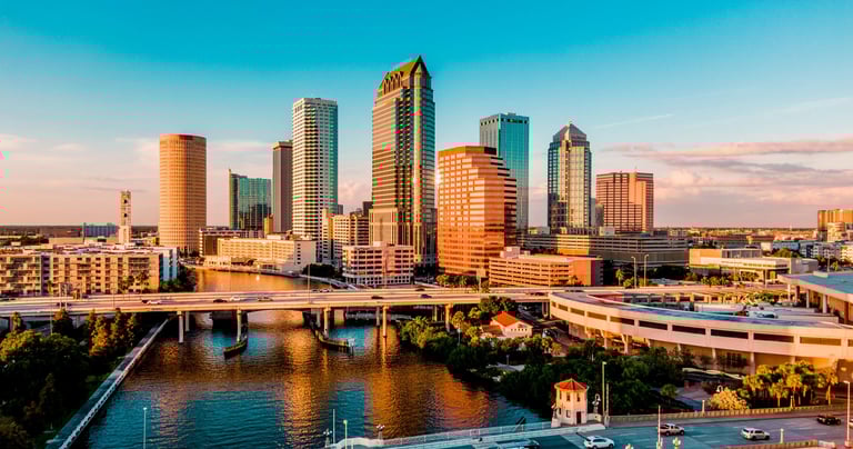 Tampa mobile car detailing