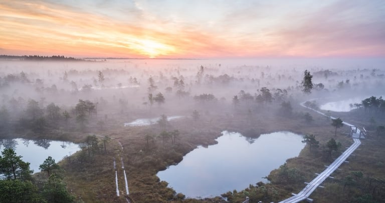 Kemeri National Park from Riga