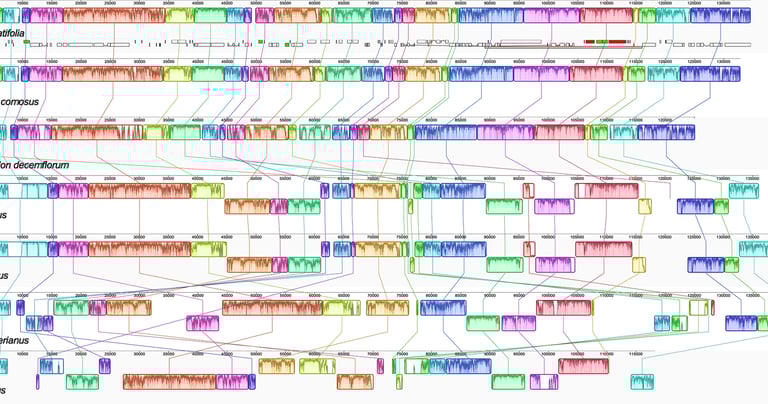 ensamblado de genomas bioinformatica mexico