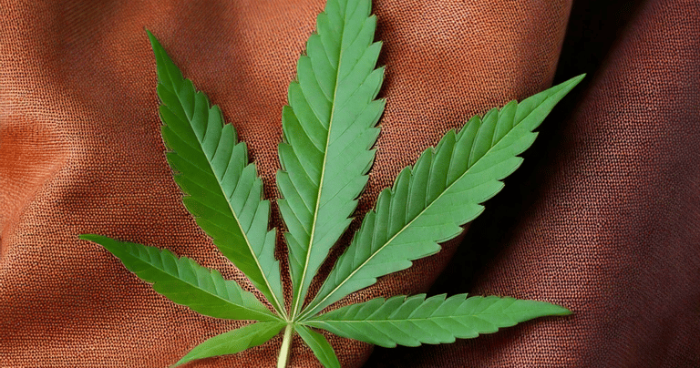 a marijuana leaf on a red cloth