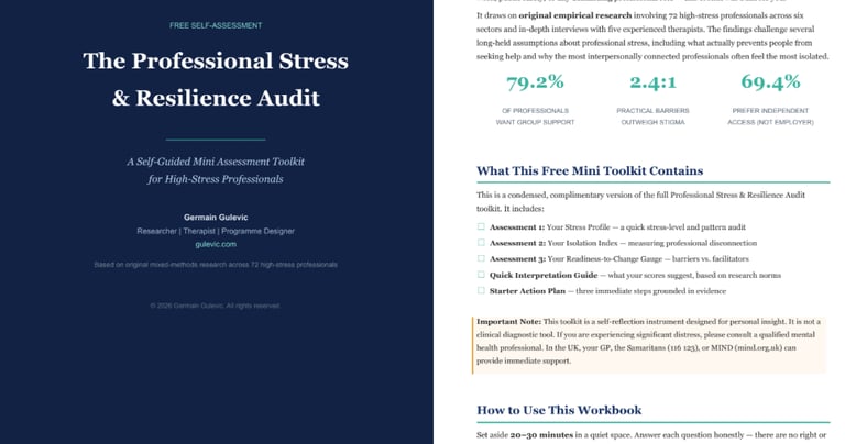 stress audit toolkit