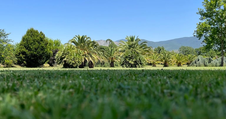 Wedding Tenuta Marcello, botanic Park, Italy
