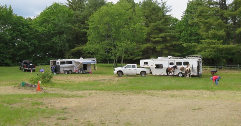 a group of people standing around a horse trailer