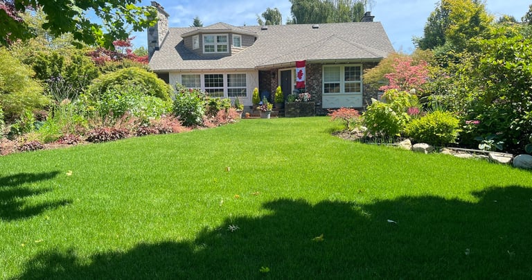 Front Yard Sod