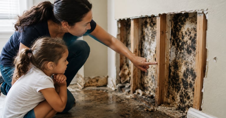 Hidden mold growth inside a water-damaged wall