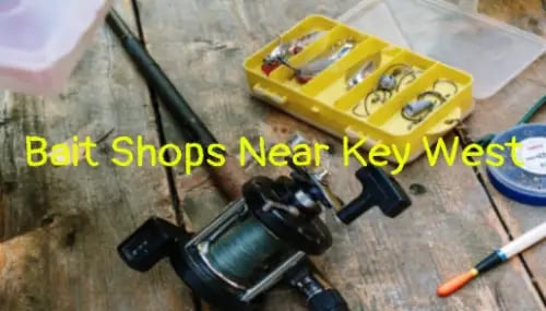 best-bait-and-tackle-shop-in-key-west