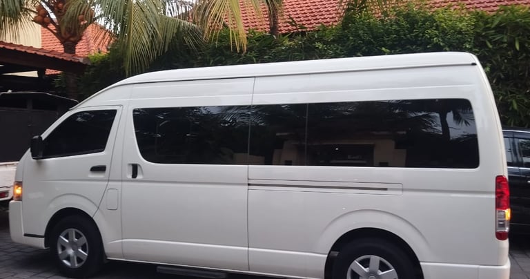 bali car driver