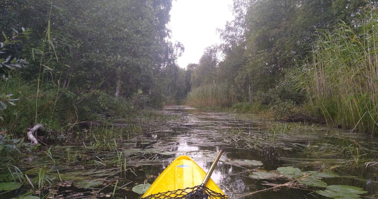 Canoê-kayak Höga kusten