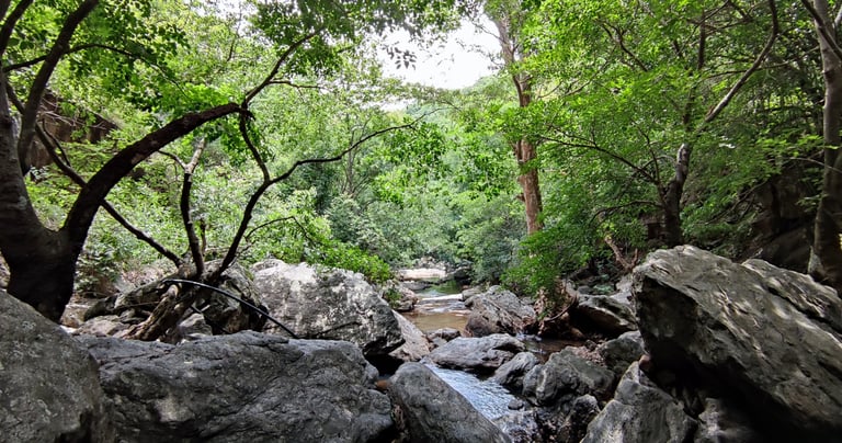 best resorts in anaikatti