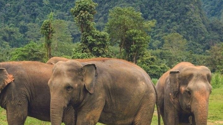 Best Resorts in Kerala