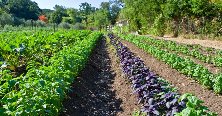 Best Resorts near coimbatore