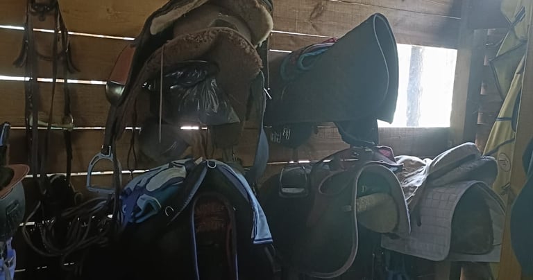 sellerie-chevaux-poneys