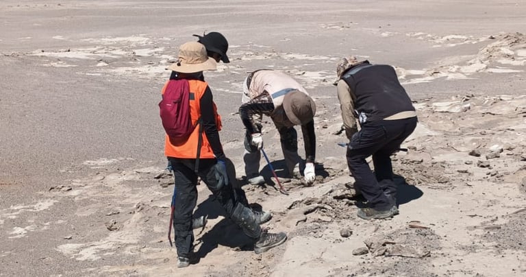 Medidas de cumplimiento ambiental