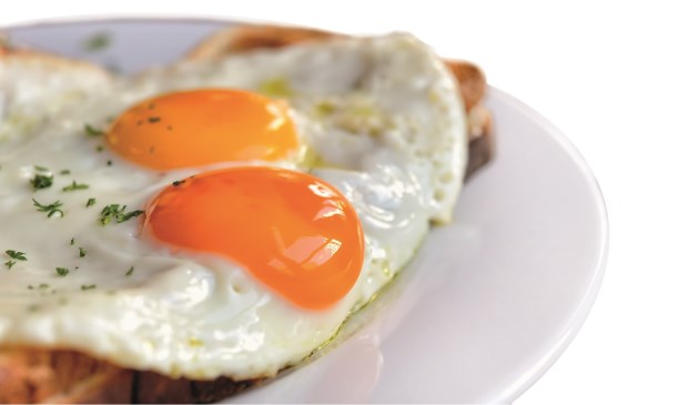 a plate of eggs on toasted toasted bread