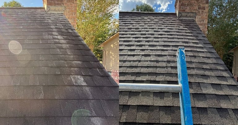 before and after roof soft washing