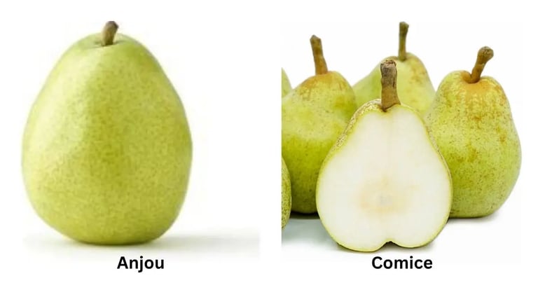side by side pictures of anjou and comice pears with white background