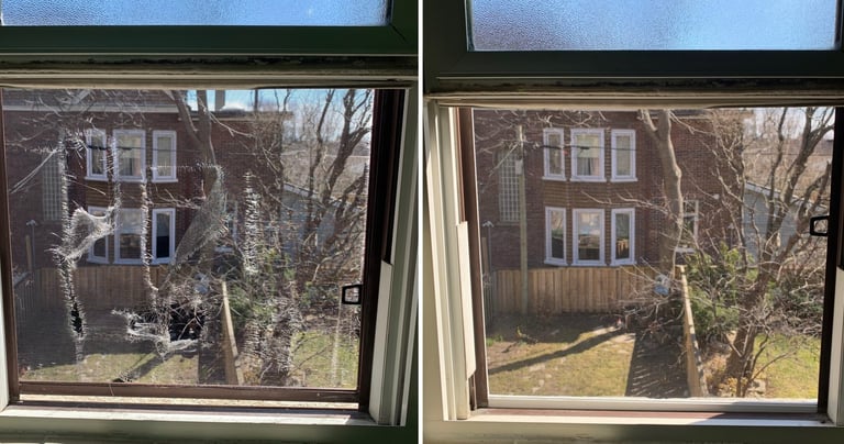 WINDOW SCREEN REPAIR