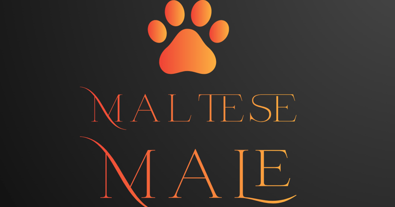 Male Maltese Perfect Paw Pups