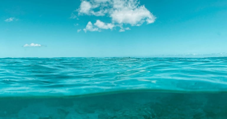 A view of a turquoise ocean under a blue sky. The water is calm, revealing the underwater terrain.