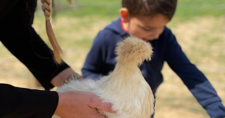 exemple de sortie éducative à la ferme