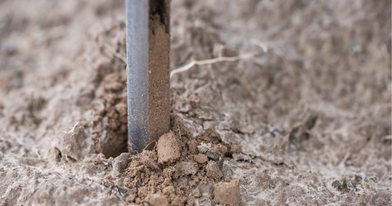 trufalab muestra de suelo