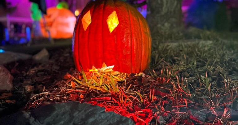 O.W.L. Light Halloween 