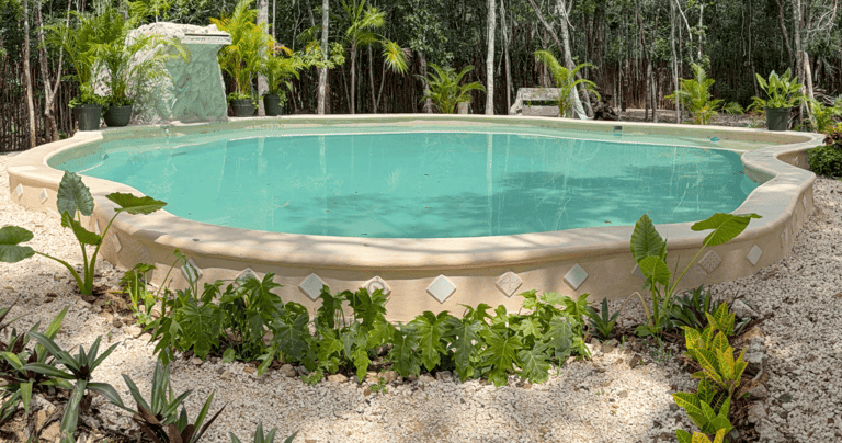 A swimming pool with a stone waterfall, surrounded by tropical garden plants and lush green trees.