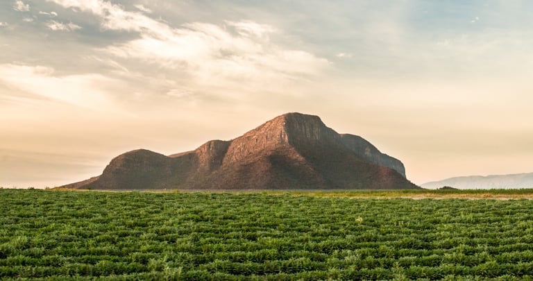 Nutrilite organic farm in Jalisco, Mexico