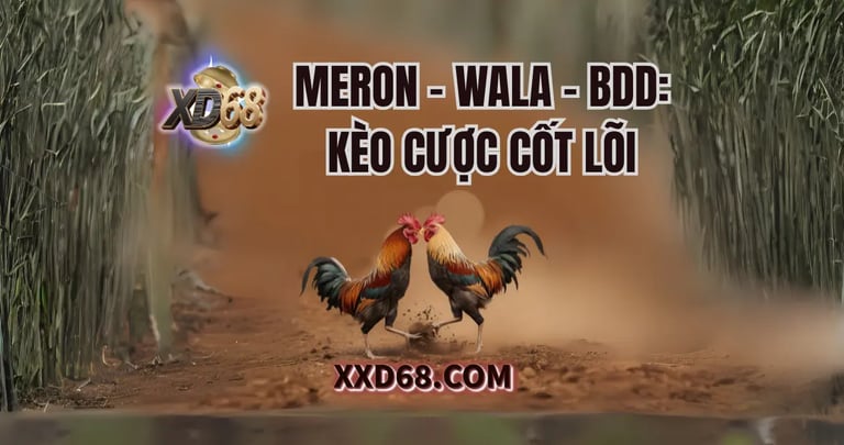 Giao diện đặt cược đá gà online tại XD68 với các kèo Meron, Wala, BDD.