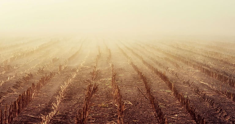 God Needs an Empty Field