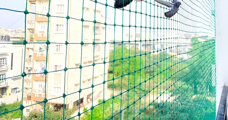 pigeon nets in Bengaluru