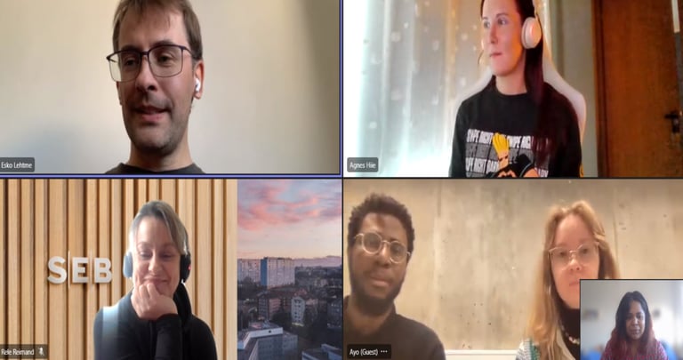 Video conference between researchers and SEB consultants