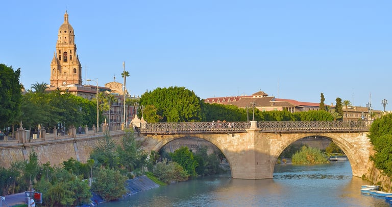 View of the city of Murcia with the Segura River and the cathedral tower in the background