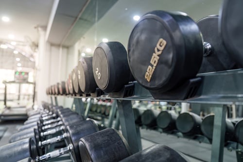 A long row of heavy black dumbbells arranged on a metal weight rack in a modern gym facility.