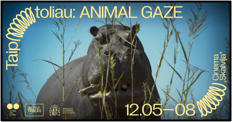 ANIMAN GAZE