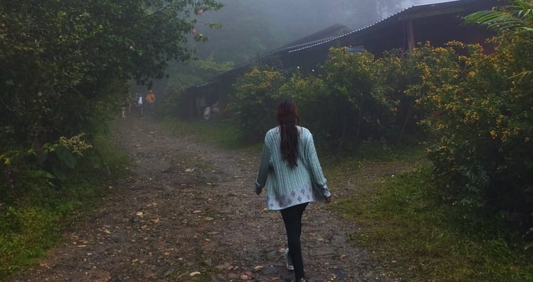 Morning trek from minca to Cerro Kennedy