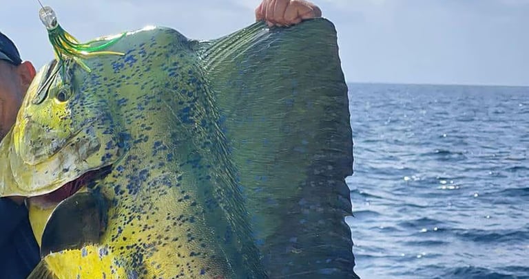 a man holding a fish fish on a boat