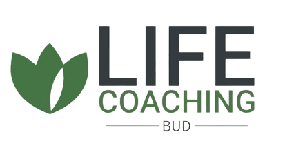 One (1) month life coaching program, once per week, one hour session