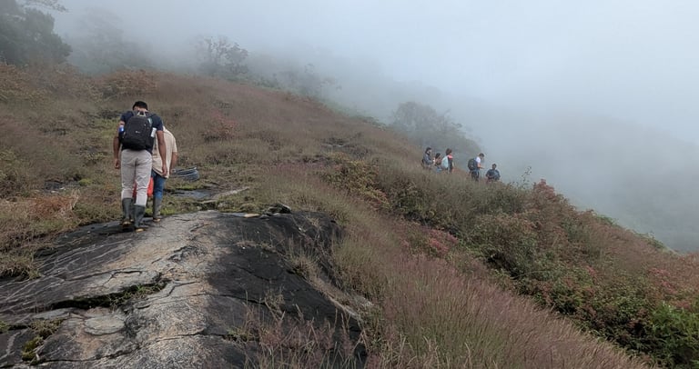 Cerro Kennedy Trek with domek tours.