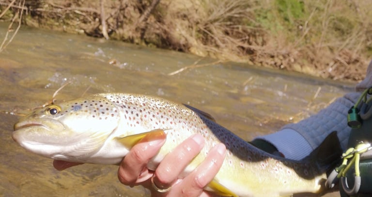 Pêche à la mouche tandem sèche - nymphe