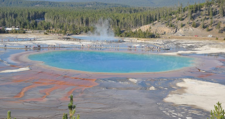 the grand prismatic spring in yellowstone