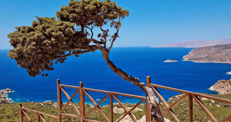 A lone windswept tree overlooks the deep blue Mediterranean Sea from a rocky coastal viewpoint in Rhodes, Greece.