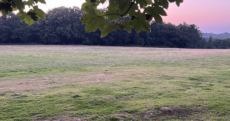 Empty Sussex field at dawn with pink sky framed by overhanging maple leaves