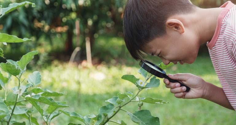 Boy learning by unschooling. Looking through magnifying glass at leaf.